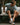 Nordic Runrise Men's T-Shirt Stone Blue YMR Track Club 